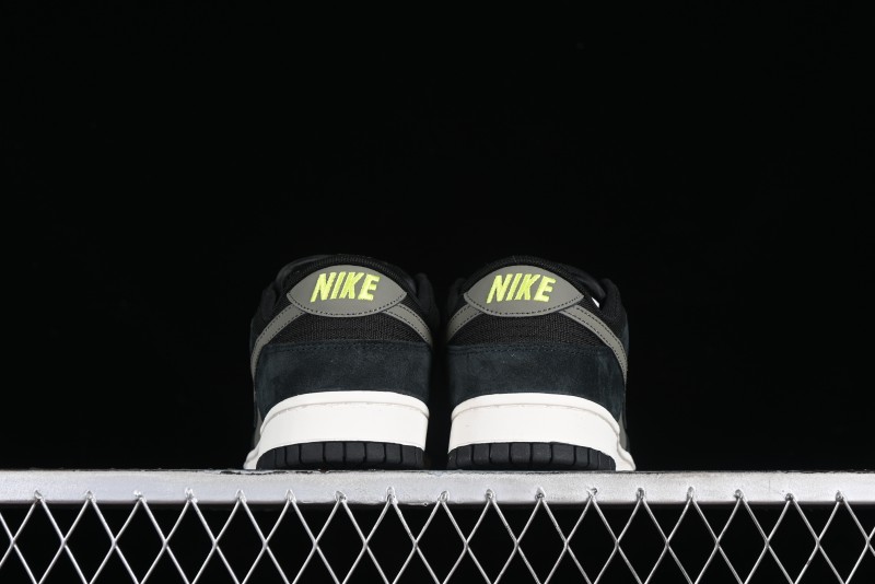 Nike Dunk Low SB Skateboarding Shoes - 302517-236