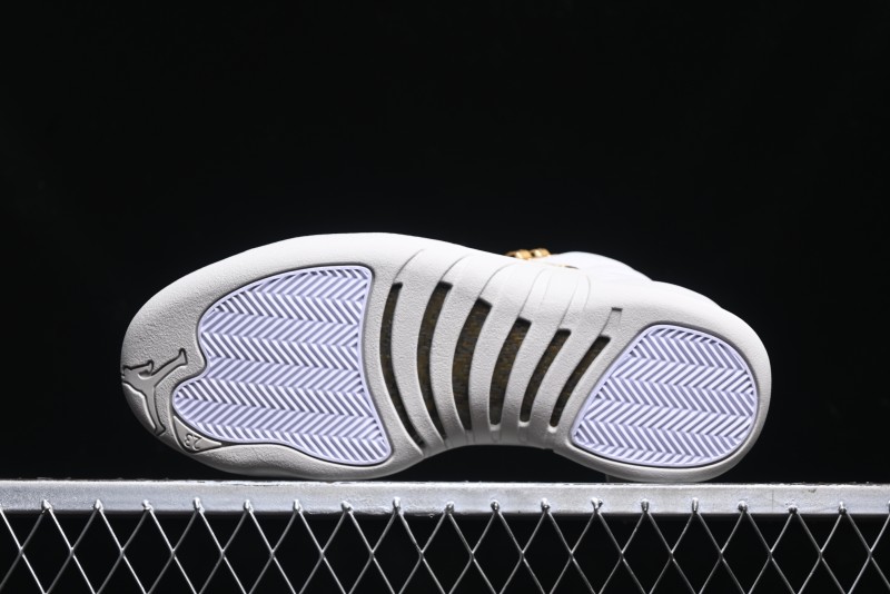 Nike Air Jordan 12 Retro Basketball Shoes - FD9101-007