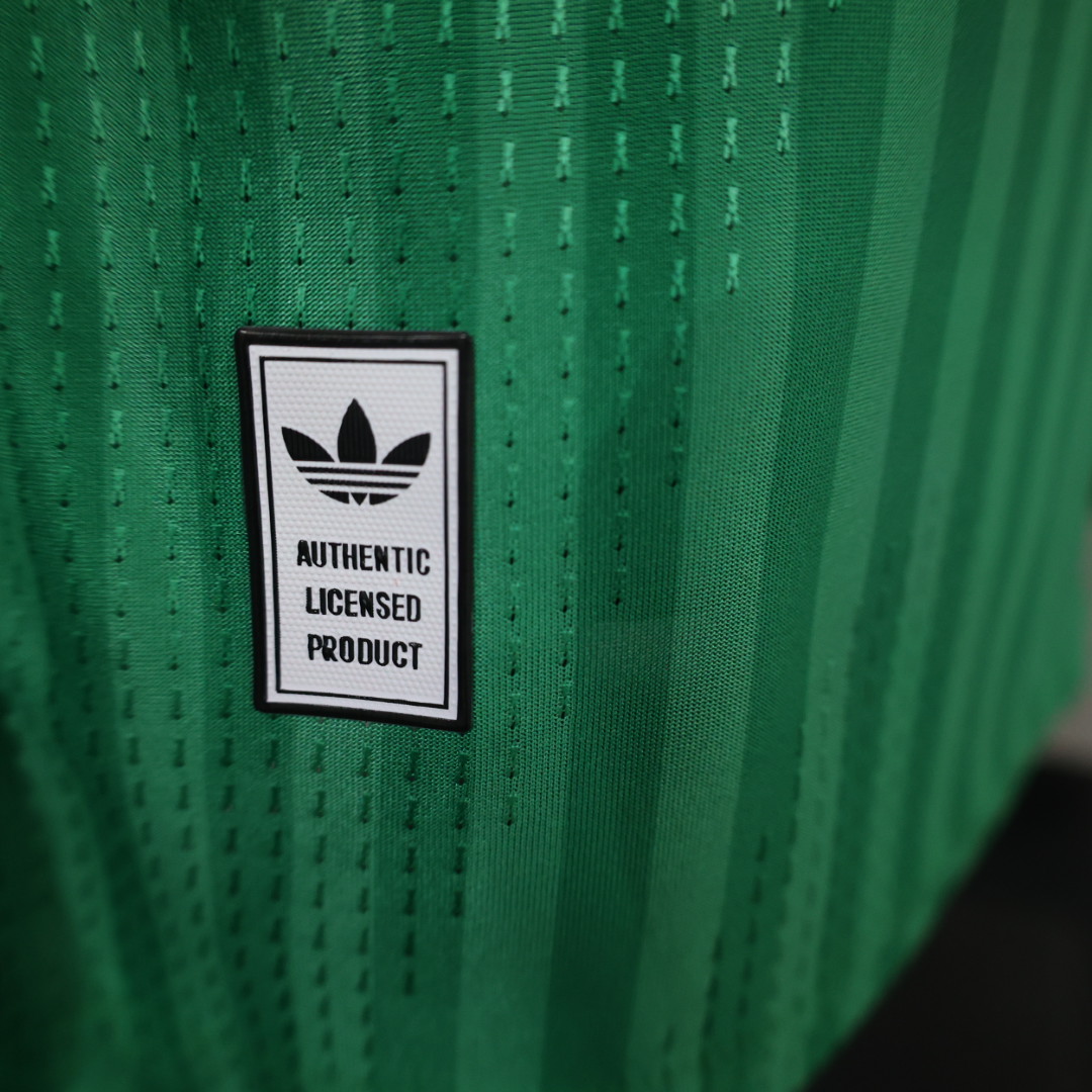 Player Version 26/27  Algeria Green Stripe V-Neck Special Edition Jersey