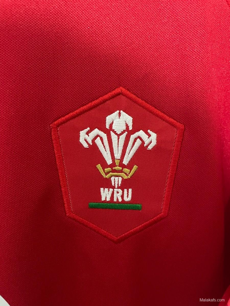 Wales 2024-2025 home jersey