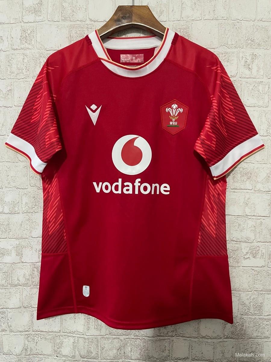 Wales 2024-2025 home jersey